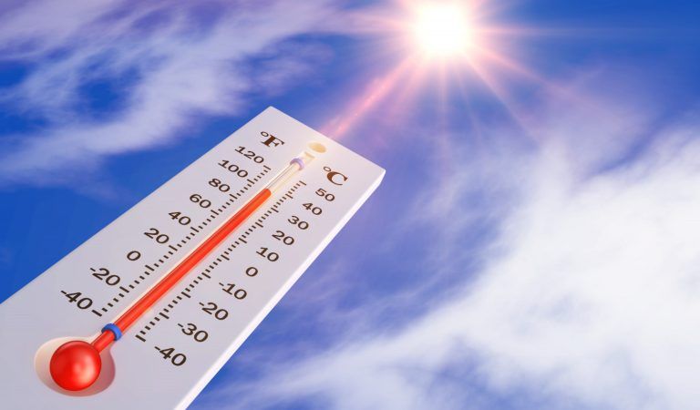 Ondas de calor – Consequências para a saúde e precauções que deve ter